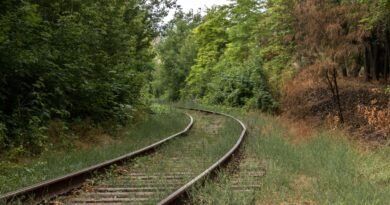 10 книг про Голокост, які неможливо забути