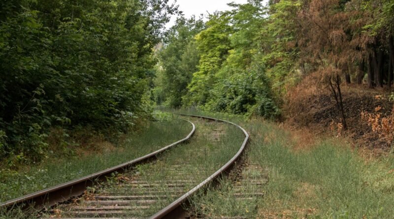 10 книг про Голокост, які неможливо забути
