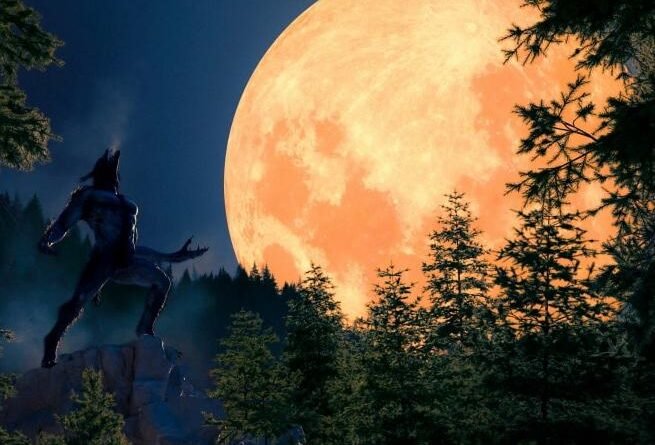 10 книг про перевертнів, які занурять у світ магії та темних таємниць