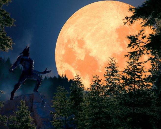 10 книг про перевертнів, які занурять у світ магії та темних таємниць