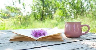 10 книг, що будять життя найкращі весняні романи для натхнення