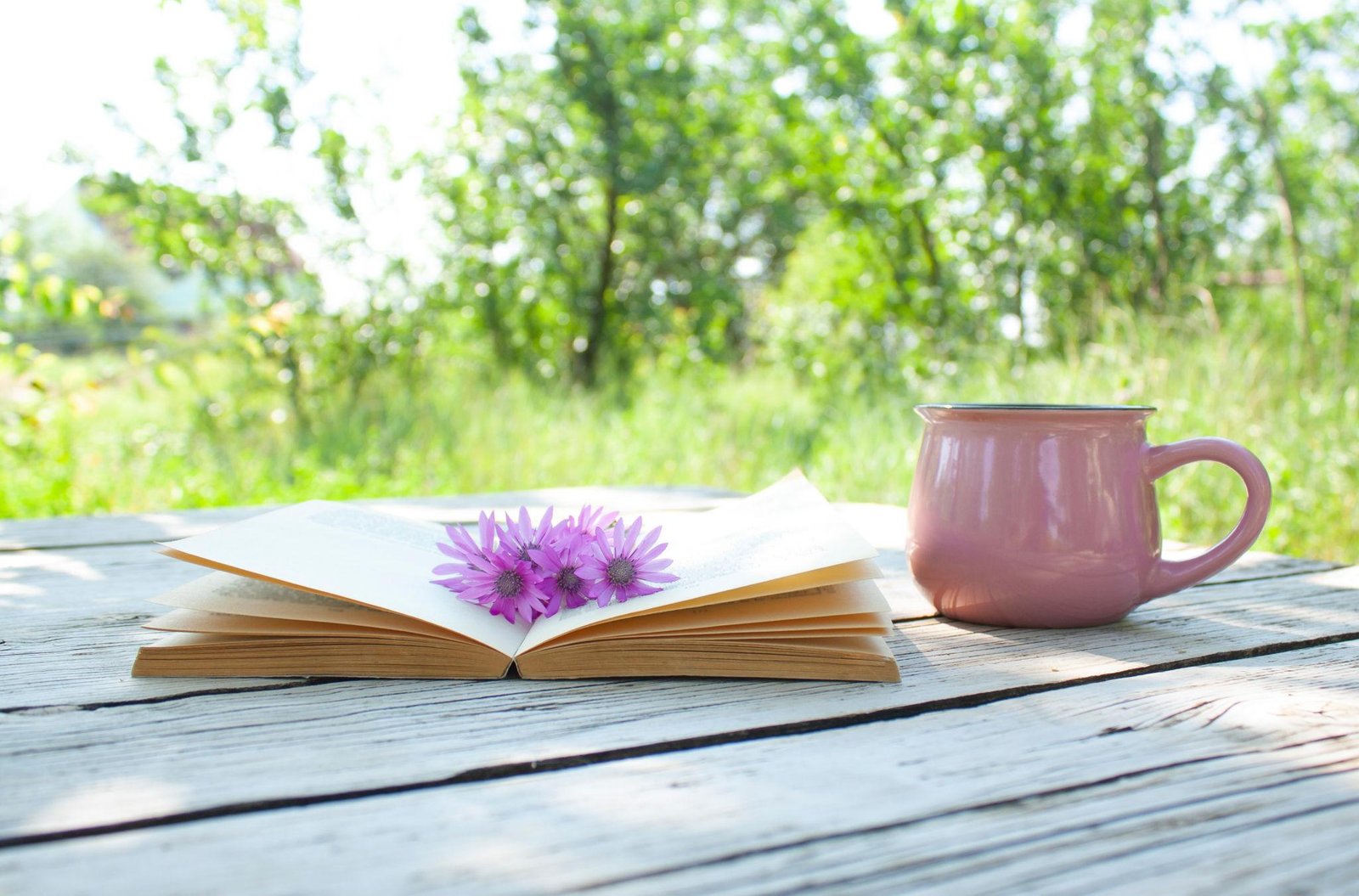 10 книг, що будять життя: найкращі весняні романи для натхнення